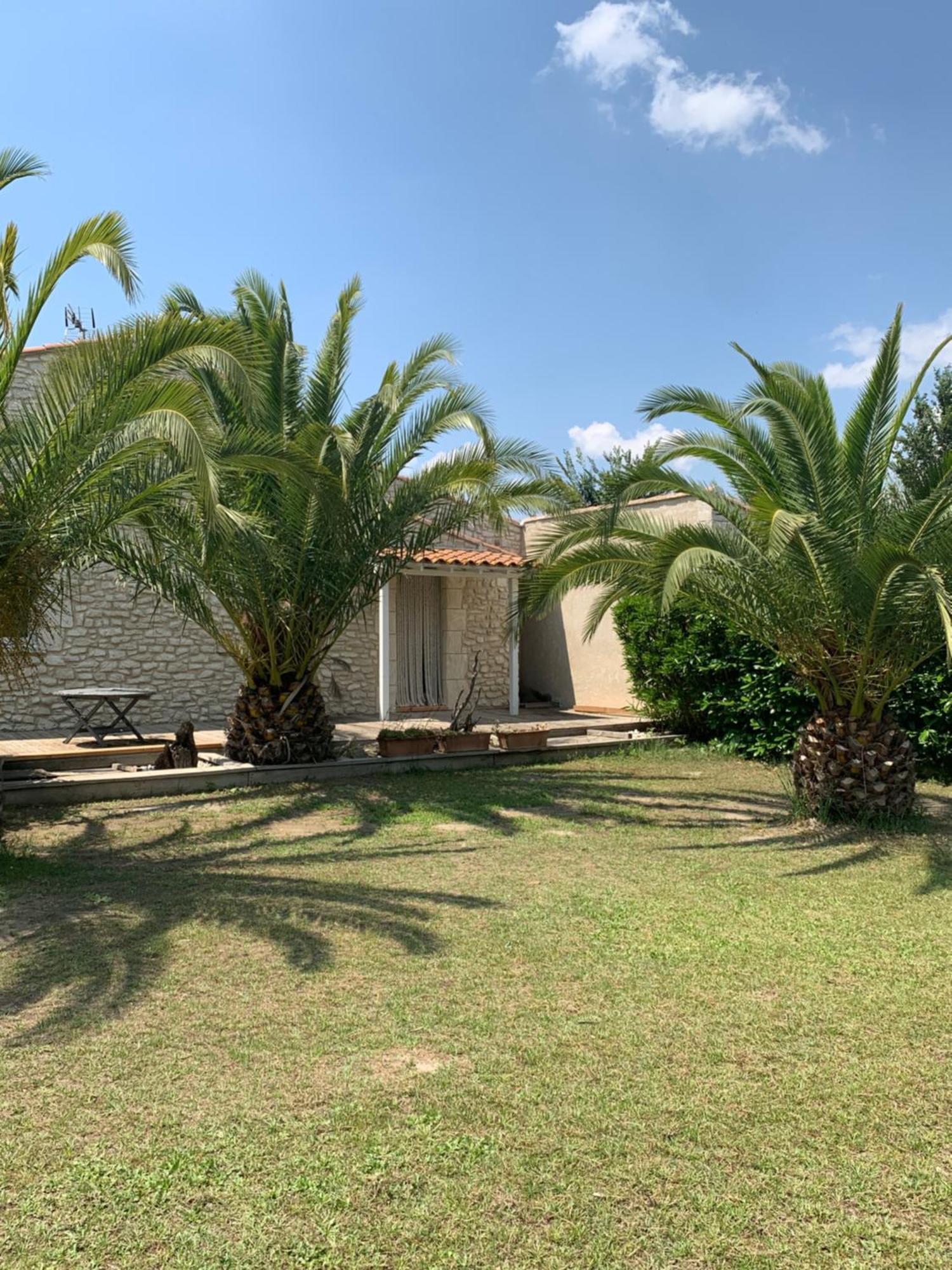 Le Mas Des Mourguettes Saintes-Maries-de-La-Mer Exterior foto